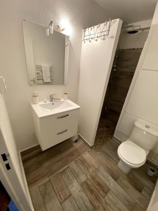 Studio Cabine Avec Jardin Apartment Canet-en-Roussillon Ngoại thất bức ảnh